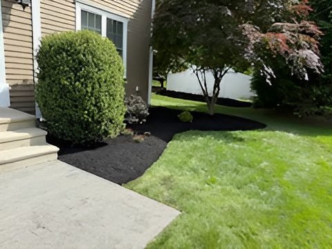 4131f96146554adb8b5dd37b10517db7