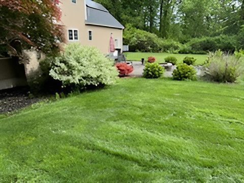 4ccf5ef000f04532a619d5895721812d