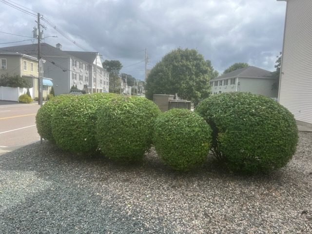 63f137ad663c4693928a18cb5a426989