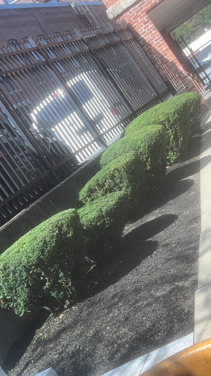 7fda60e2e0634e58b9c2730e6b437e8b