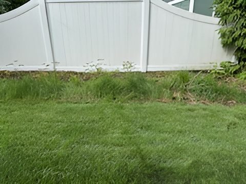 a1b6de87f61a45b2824a71473c826d55