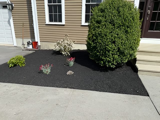 a1fe41da013245e49afefb42263c99fe