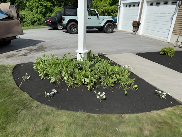 ac3518a4dc7a4cb69777d82e6231754f