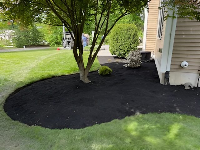 b9065dfa4234433ca441b8b8773210b7