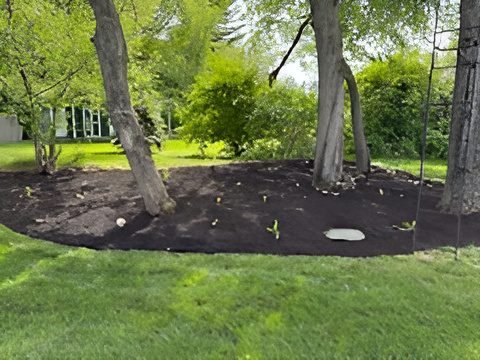 c9ccf75eb57545219121198c63f5045b