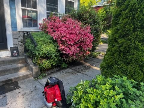 cbdb2ef3fec34017b6e0fa81663162bf