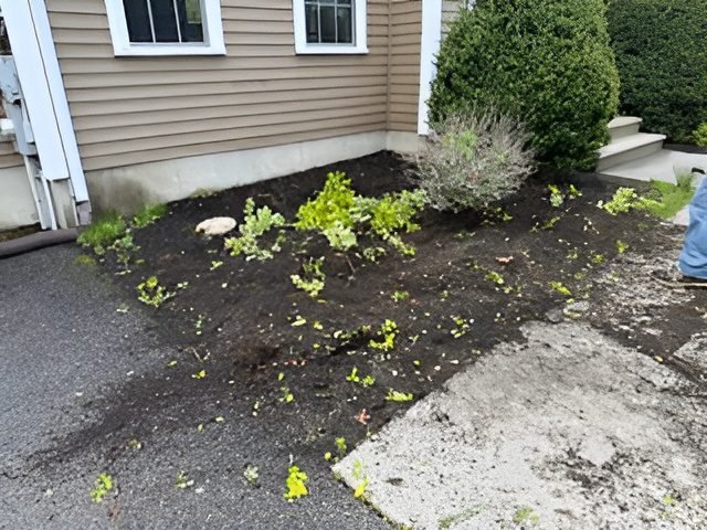 db5abb6445184d1d91de2fe65a8e35e4