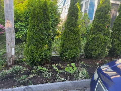 e54799649168430085173e312a94e85b